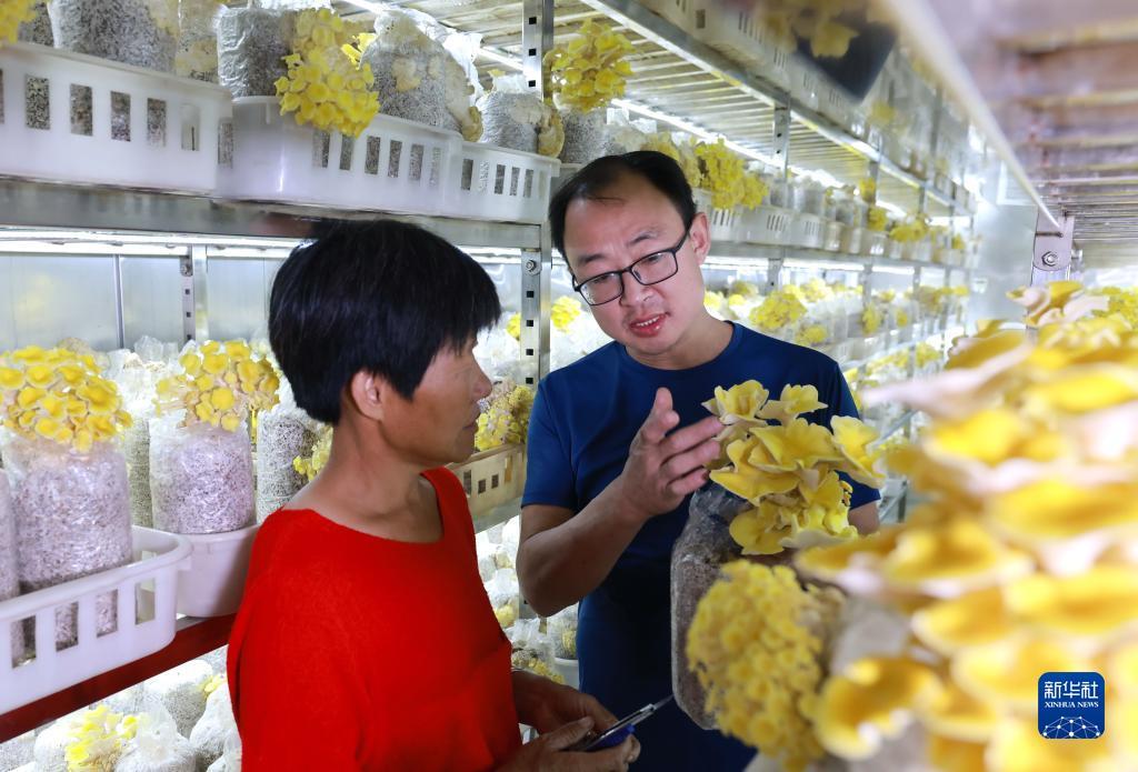 太阳城赌城官网欢迎您